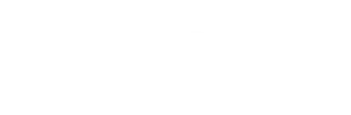 BIDTravel