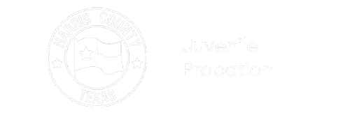 Juvenile Probation
